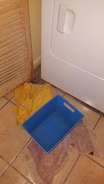 Wayne's Heating & AC Service