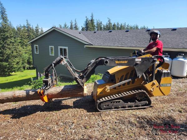 Sauve & Sons Tree Work