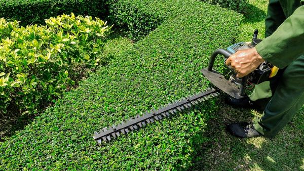 All Seasons Landscaping and Maintenance