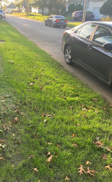 Andrew's Landscaping LLC
