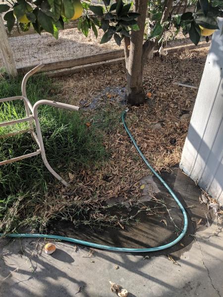 Plant Systems Landscape Co