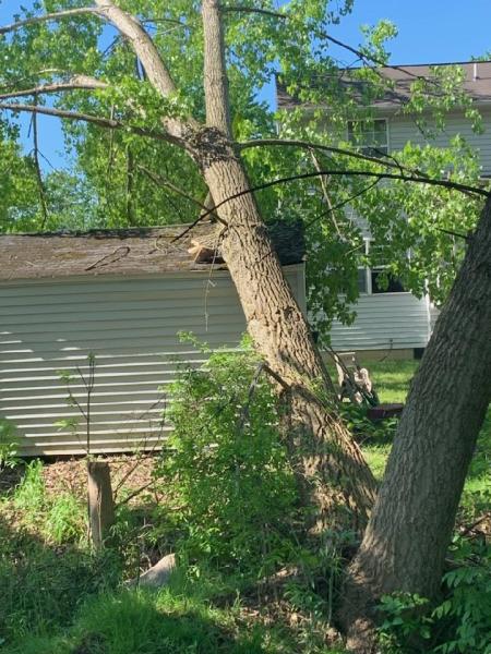 One Stop Tree Service