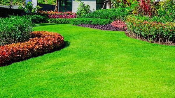 Chris Richey's Professional Lawn Service