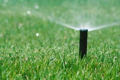 Florida Lawn and Pest Pros Inc.
