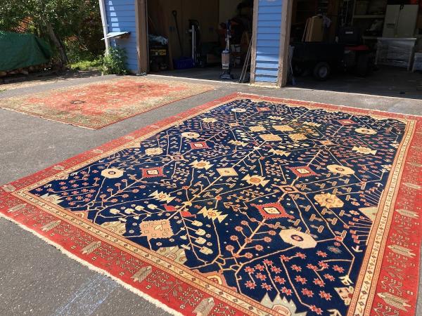 Immaculate Carpet & Upholstery Care co.