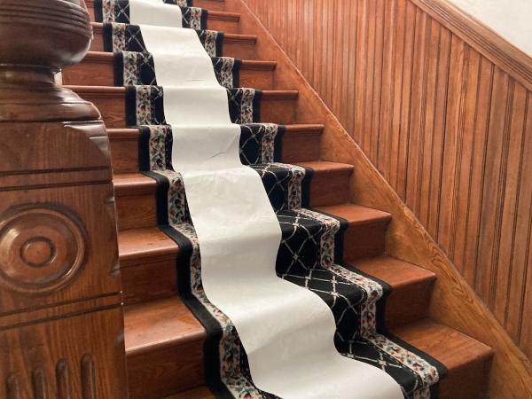 Immaculate Carpet & Upholstery Care co.