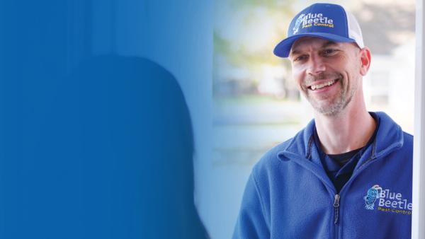 Blue Beetle Pest Control