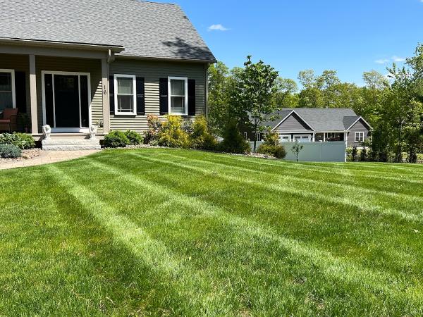 The Turf Manager