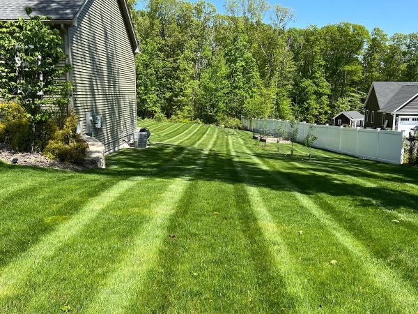 The Turf Manager