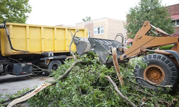 Tree Service Burleson
