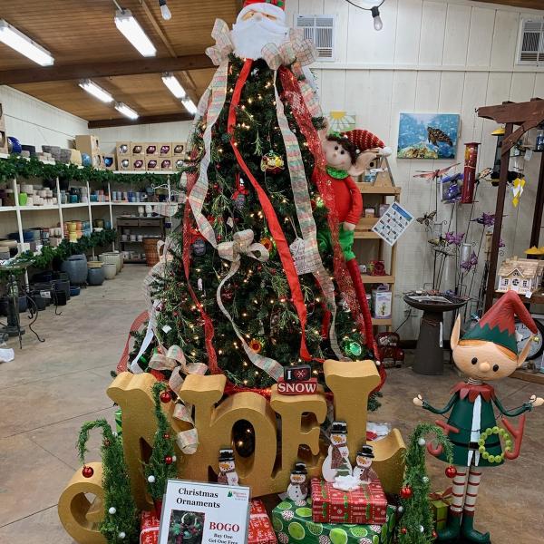 Marcum's Nursery