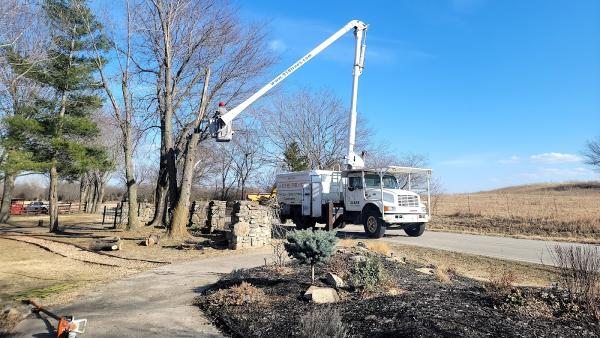 Clark Tree Service