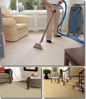 Mister Carpet Cleaner