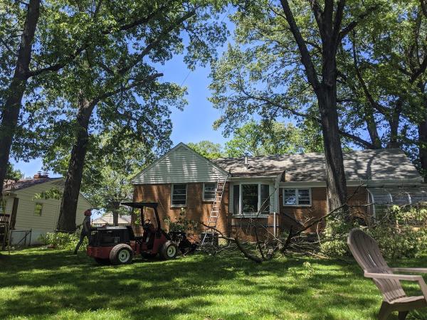 Alto Tree Service