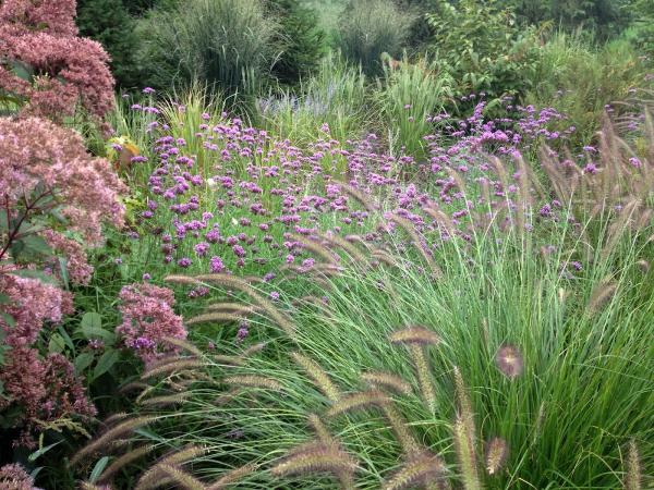 Petrowgardens Landscape Design