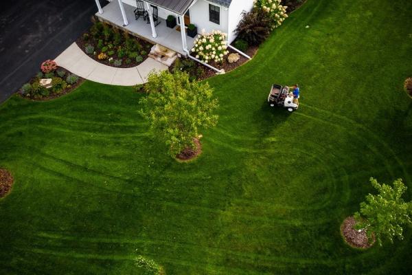 Total Green
