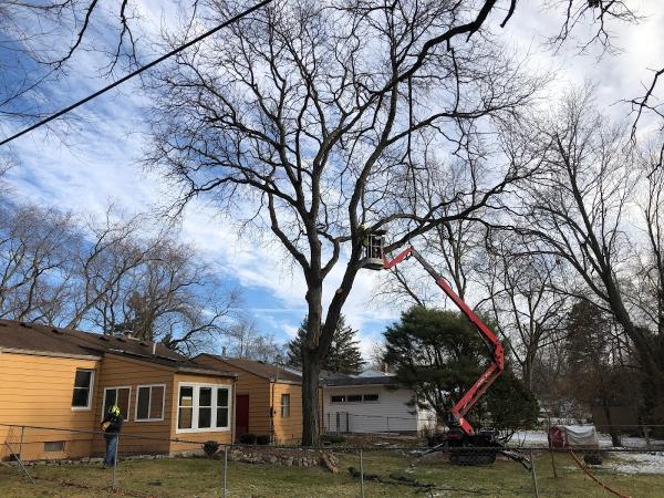 Greenstreet Tree Care
