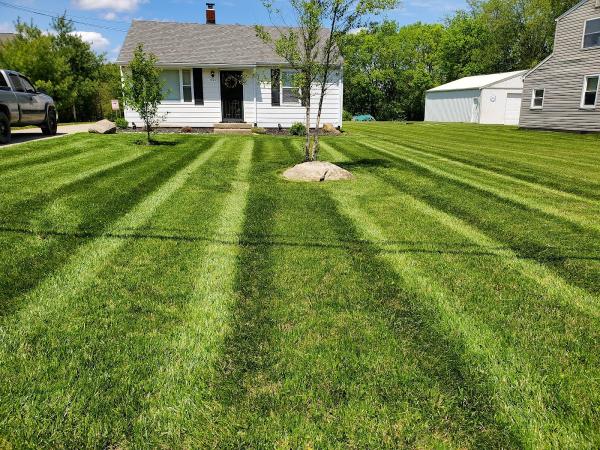 Mister's Lawn Care & Landscaping LLC