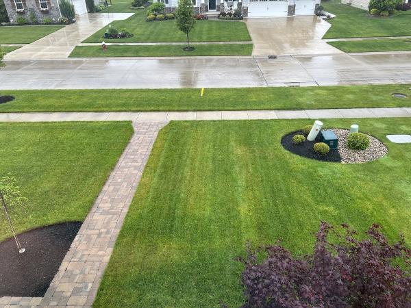Lawn Squad