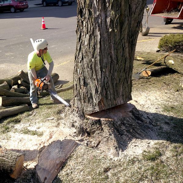 Specialty Outdoor Services LLC