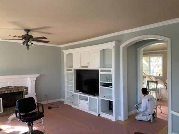 AG and Sons Painting