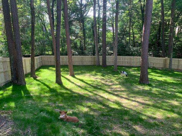 Stratton Landscaping