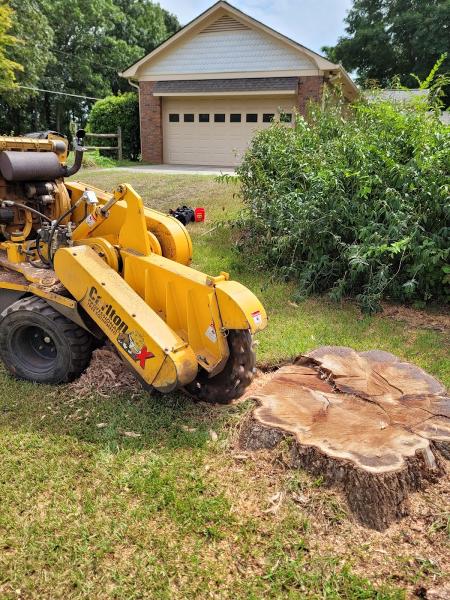 Stump Rescue LLC