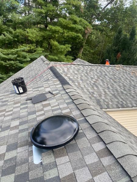 Roof Shark