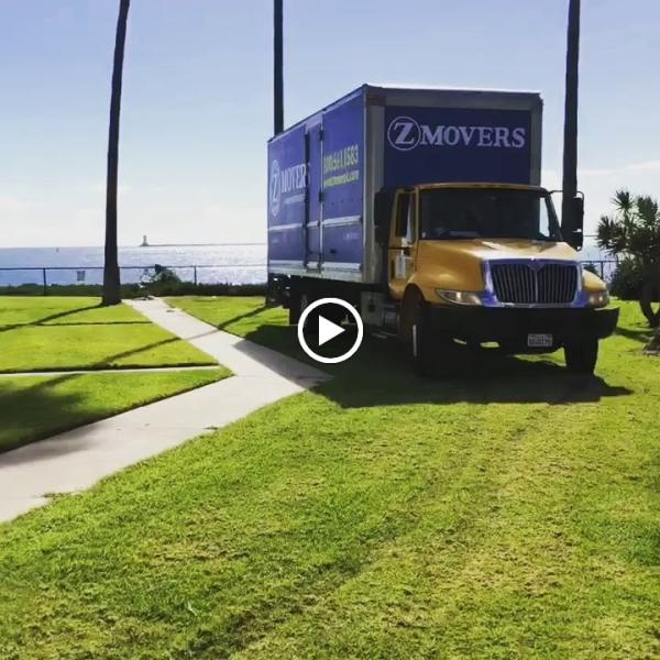 Z Movers