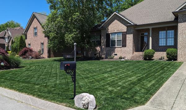 Mr. Lawn