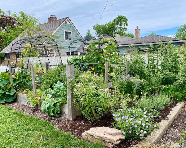 Green Edens Horticultural Services