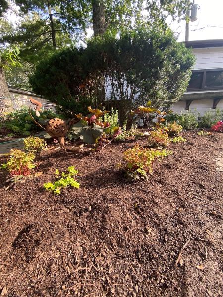 Green Edens Horticultural Services