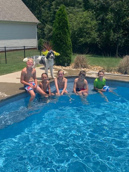 Elevation Pools