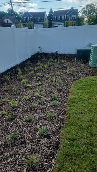 Creating Sustainable Landscapes