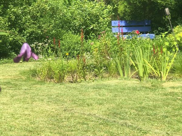 Creating Sustainable Landscapes