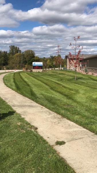 Green Site Lawn Care