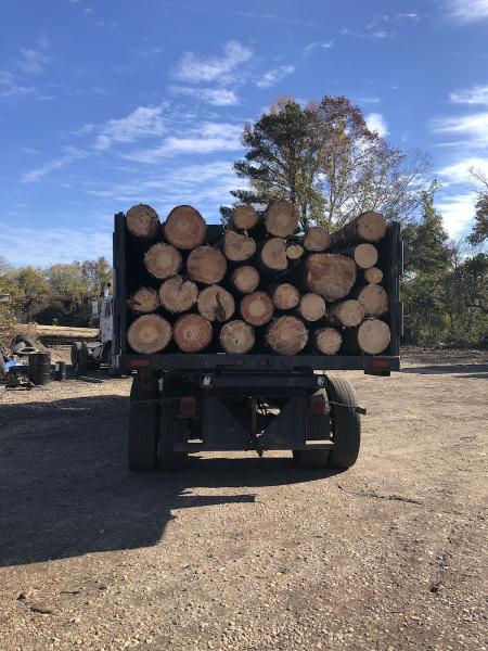 Forest Tree Care LLC