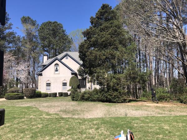 Forest Tree Care LLC