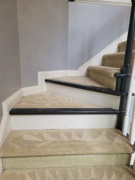 Raptor Carpet Cleaning