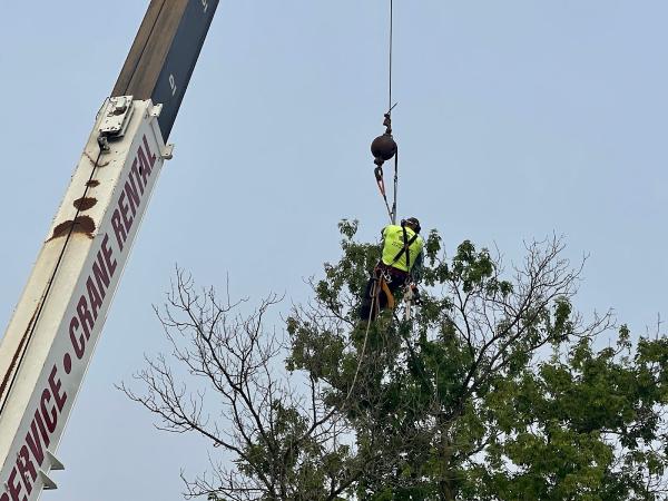 Jj's Excavating and Tree Services