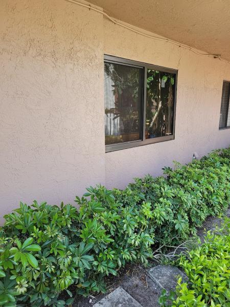 Caner Impact Windows