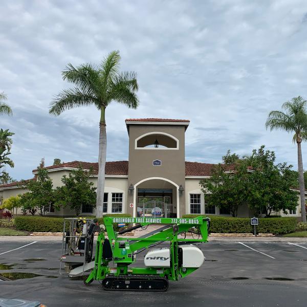 Greengold Tree Service