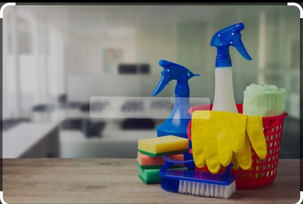 Loyalty House Cleaning Services Inc.