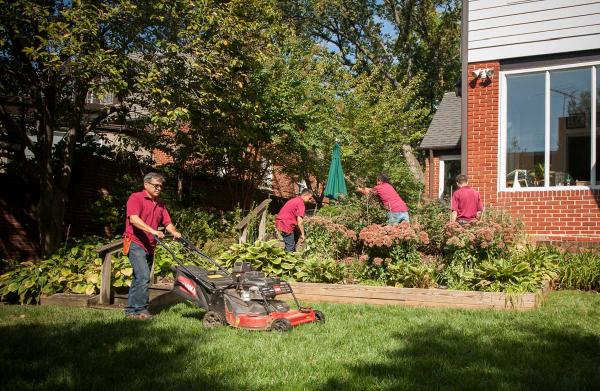 Martin Lawn and Landscaping
