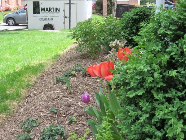 Martin Lawn and Landscaping