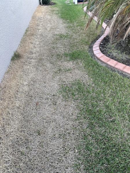 Mr Pressure Cleaning