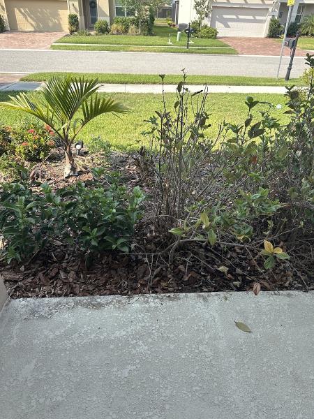 Mr Pressure Cleaning
