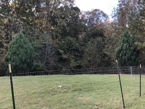 North Georgia Land Management