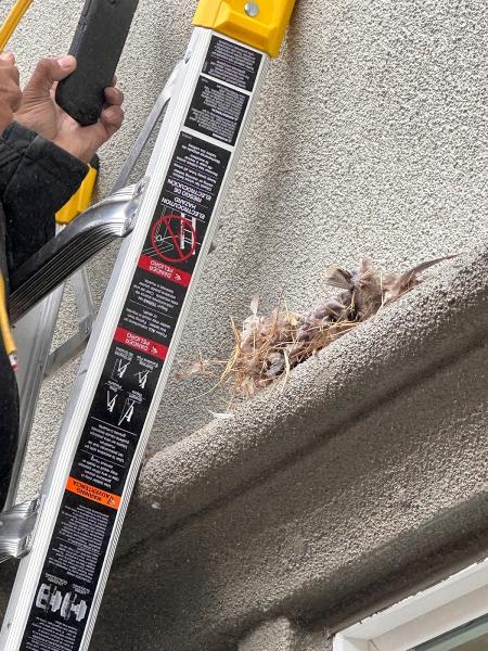 Pacific Coast Home Services