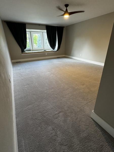 Ambrose Carpets
